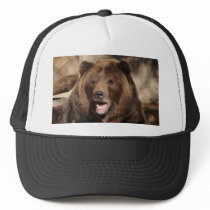 Grizzly Bear Boar
