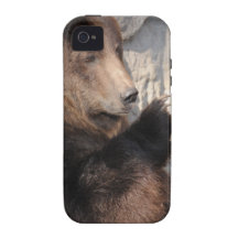 Grizzly Bear Boar iPhone 4/4S Covers