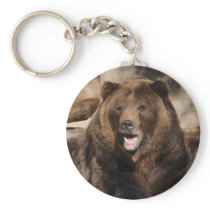 Grizzly Bear Boar