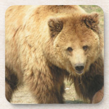 Grizzly Bear Cork Coasters