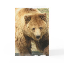 Grizzly Bear Greeting Card
