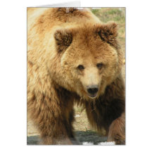 Grizzly Bear Greeting Card