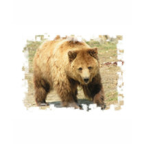 Grizzly Bear Kid's T-Shirt