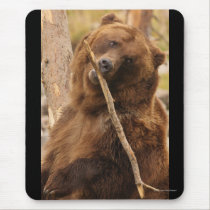 grizzly bear mousepads