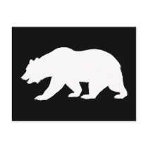 Grizzly Bear Post Card