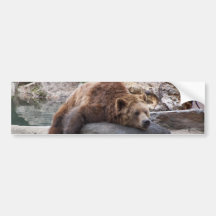 Grizzly Bear Resting On Rock Bumper Sticker