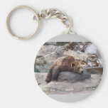 Grizzly Bear Resting On Rock Key Chain