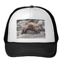 Grizzly Bear Resting On Rock Mesh Hat