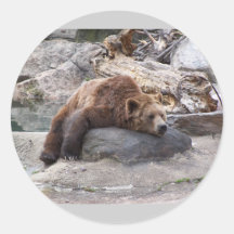 Grizzly Bear Resting On Rock Round Sticker