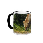 Grizzly Bear  Smelling flowers Mugs