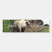 Grizzly Bear Smile; Yukon Territory, Canada Bumper Stickers