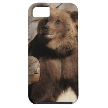 Grizzly Bear Sow iPhone 5 Case
