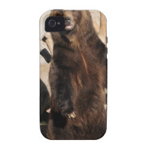 Grizzly Bear Sow Vibe iPhone 4 Cases