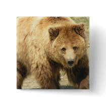 Grizzly Bear Square Button