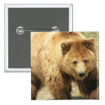 Grizzly Bear Square Button