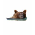 Grizzly Bear Swimming t-shirts