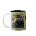 Grizzly Bear Wildlife Art