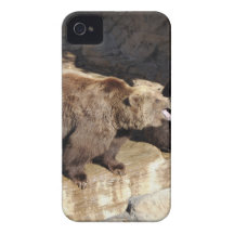 Grizzly Bears iPhone 4 Case-Mate Case