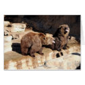 Grizzly Bears Yelling cards