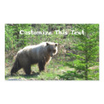 Grizzly in the Forest; Customisable stickers