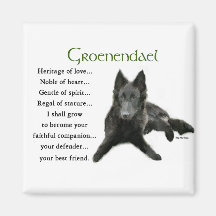 Groenendael Belgian Sheepdog Gifts Magnet