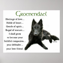 Groenendael Belgian Sheepdog Gifts Posters