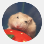 Groggy Mint Tea (sticker)