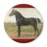 Groningen by Otto Eerelman Magnet
