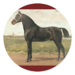 Groningen by Otto Eerelman Sticker
