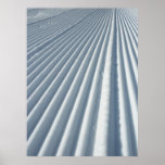 Groomed Ski Trail Poster Print