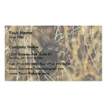 Groove-billed ani business card