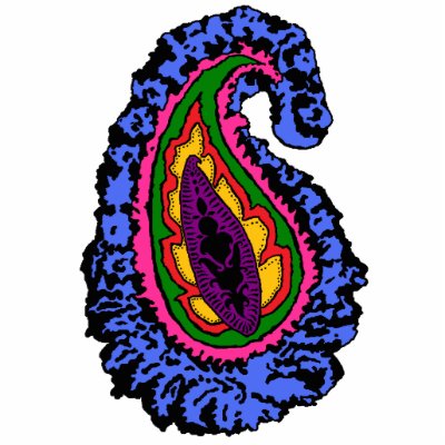 Groovy Paisley Magnet Acrylic Cut Outs by JuJuGarden