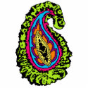 Groovy Paisley Magnet photo sculptures