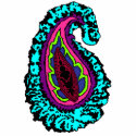Groovy Paisley Magnet photo sculptures