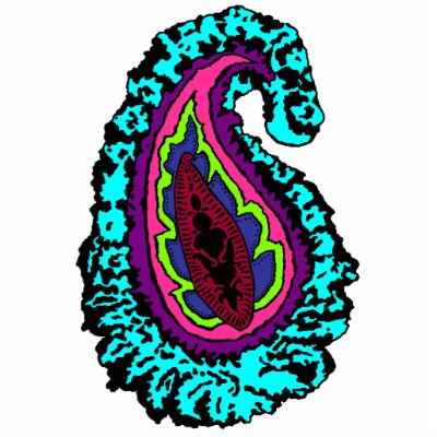 Groovy Paisley Magnet Photo Sculptures by JuJuGarden