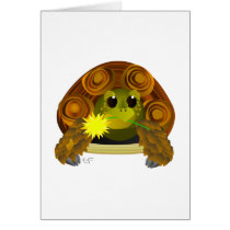 Groovy Tortoise Cards