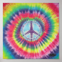 Groovy Wow Wow posters