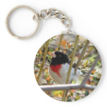 Gros Beak keychains