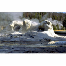 Grotto Geyser, Upper Geyser Basin, Yellowstone Nat Photo Sculpture