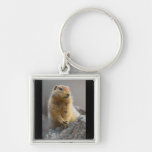 Ground Squirrel Keychains