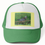 GROUNDED HAWK Hat - Customised