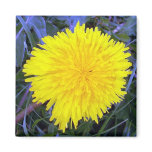 Grounded Sunshine Magnet