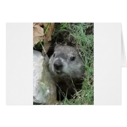 Groundhog Day Card