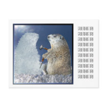 Groundhog Day Ice Sculpture Post Cards