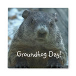 Groundhog Day!!