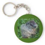 Groundhog/Woodchuck Keychain
