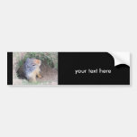 Groundhog your text here. bumper sticker bumper stickers
