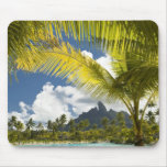 Grounds and scenics of the new luxury St. Regis Mouse Pads