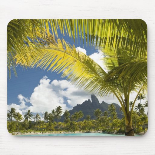 Grounds and scenics of the new luxury St. Regis Mouse Pads