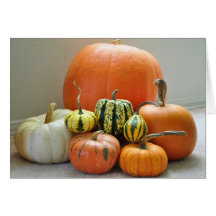 Group of pumpkins greeting cards